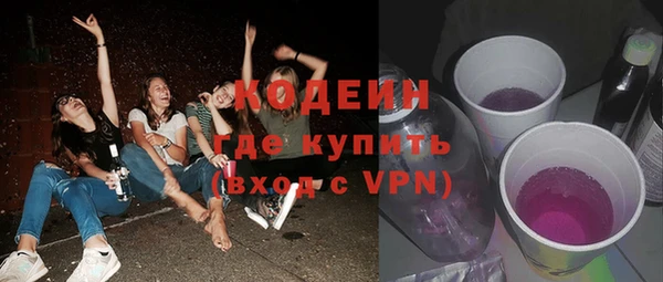 гашик Алексин