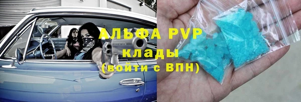 гашик Алексин