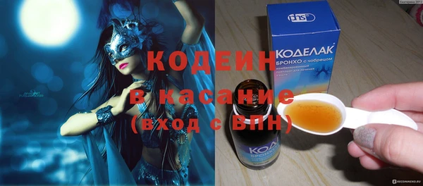 гашик Алексин