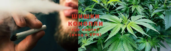 гашик Алексин
