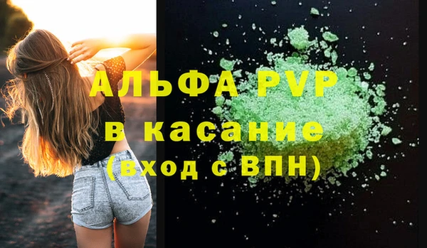 гашик Алексин