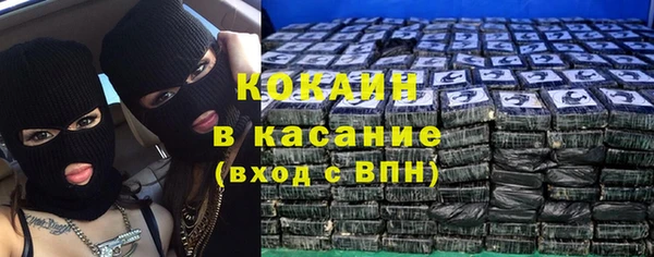 гашик Алексин