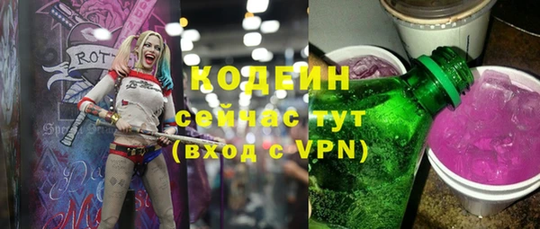 гашик Алексин