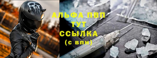 гашик Алексин