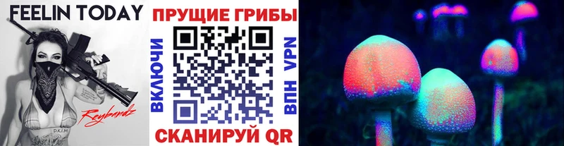 цены наркотик  Кимры  Галлюциногенные грибы мицелий 